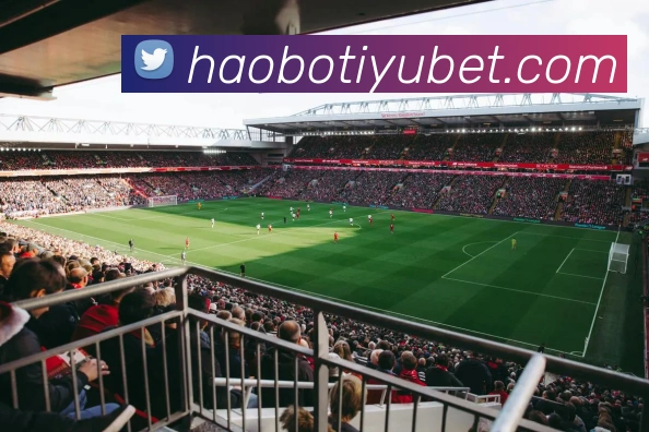 好博体育平台生态图