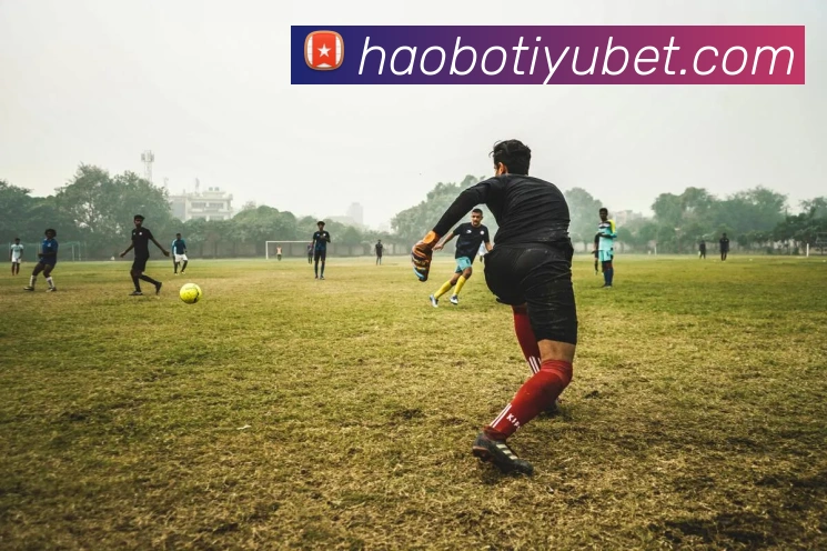 好博体育APP 封面图